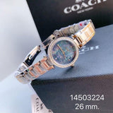 Buy Shop Coach Park Mother of Pearl Blue Dial Silver Steel Strap Watch for Women - 14503224 USA Online
