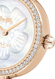 Buy Shop Coach Park Mother of Pearl Dial Rose Gold Mesh Bracelet Watch for Women - 14503511 USA Online