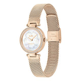 Buy Shop Coach Park Mother of Pearl Dial Rose Gold Mesh Bracelet Watch for Women - 14503511 USA Online