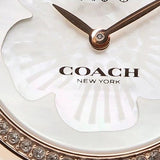 Buy Shop Coach Park Mother of Pearl Dial Rose Gold Mesh Bracelet Watch for Women - 14503511 USA Online
