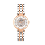 Buy Shop Coach Park Silver Dial Two Tone Steel Strap Watch for Women - 14503642 USA Online