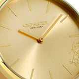 Buy Shop Coach Perry Analog Gold Dial Brown Leather Strap Watch for Women - 14503331-C USA Online