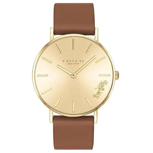 Buy Shop Coach Perry Analog Gold Dial Brown Leather Strap Watch for Women - 14503331-C USA Online