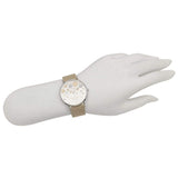 Buy Shop Coach Perry Quartz Silver Dial Brown Leather Strap Watch for Women - 14503326 USA Online
