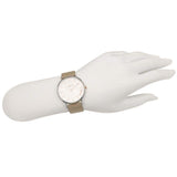 Buy Shop Coach Perry Silver Dial Light Brown Leather Strap Watch for Women - 14503119 USA Online