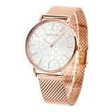 Buy Shop Coach Perry Silver Dial Rose Gold Mesh Bracelet Watch for Women - 14503386 USA Online