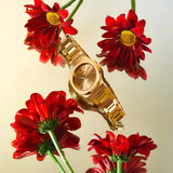 Buy Shop D1 Milano Ultra Thin Zephyr Gold Dial Gold Steel Strap Watch for Women - D1-UTBL31 USA Online