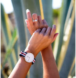 Buy Shop Daniel Wellington Classic Canterbury White Dial Two Tone NATO Strap Watch For Women - DW00100030 USA Online
