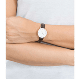 Buy Shop Daniel Wellington Classic Petite Bristol White Dial Brown Leather Strap Watch For Women - DW00100227 USA Online