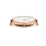 Buy Shop Daniel Wellington Classic Petite Cornwall White Dial Green NATO Strap Watch For Women - DW00100253 USA Online