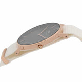 Buy Shop Daniel Wellington Classic Petite Dover Black Dial White NATO Strap Watch For Women - DW00100312 USA Online