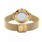 Buy Shop Daniel Wellington Classic Petite Evergold Black Dial Gold Mesh Bracelet Watch For Women - DW00100349 USA Online