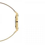 Buy Shop Daniel Wellington Classic Petite Evergold Black Dial Gold Mesh Bracelet Watch For Women - DW00100349 USA Online