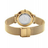 Buy Shop Daniel Wellington Classic Petite Evergold Black Dial Gold Mesh Bracelet Watch For Women - DW00100349 USA Online