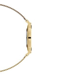 Buy Shop Daniel Wellington Classic Petite Evergold White Dial Gold Mesh Bracelet Watch For Women - DW00100346 USA Online