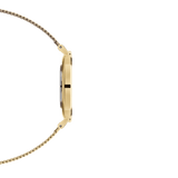 Buy Shop Daniel Wellington Classic Petite Evergold White Dial Gold Mesh Bracelet Watch For Women - DW00100350 USA Online