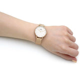 Buy Shop Daniel Wellington Classic Petite White Dial Gold Mesh Bracelet Watch For Women - DW00100348 USA Online