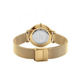Buy Shop Daniel Wellington Classic Petite White Dial Gold Mesh Bracelet Watch For Women - DW00100348 USA Online