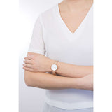 Buy Shop Daniel Wellington Classic Petite White Dial Rose Gold Mesh Bracelet Watch For Women - DW00100219 USA Online