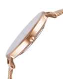 Buy Shop Daniel Wellington Classic Petite White Dial Rose Gold Mesh Bracelet Watch For Women - DW00100219 USA Online