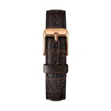 Buy Shop Daniel Wellington Classic Petite York Black Dial Brown Leather Strap Watch For Women - DW00100170 USA Online