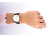Buy Shop Daniel Wellington Classic Sheffield White Dial Black Leather Strap Watch For Women - DW00100076 USA Online
