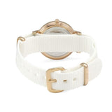 Buy Shop Daniel Wellington Classic Petite Dover Black Dial White NATO Strap Watch For Women - DW00100314 USA Online