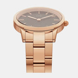 Buy Shop Daniel Wellington Iconic Link Black Dial Rose Gold Steel Strap Watch for Women - DW00100210 USA Online