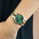 Buy Shop Daniel Wellington Iconic Link Emerald Green Dial Rose Gold Steel Strap Watch For Women - DW00100419 USA Online