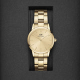 Buy Shop Daniel Wellington Iconic Link Unitone Gold Dial Gold Steel Strap Watch For Women - DW00100403 USA Online