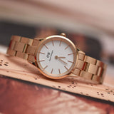 Buy Shop Daniel Wellington Iconic Link White Dial Rose Gold Steel Strap Watch for Women - DW00100213 USA Online