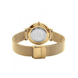 Buy Shop Daniel Wellington Classic Petite Black Dial Gold Mesh Bracelet Watch For Women - DW00100347 USA Online