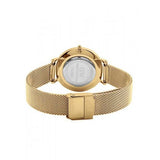 Buy Shop Daniel Wellington Classic Petite Evergold White Dial Gold Mesh Bracelet Watch For Women - DW00100346 USA Online