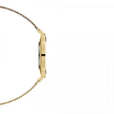 Buy Shop Daniel Wellington Classic Petite White Dial Gold Mesh Bracelet Watch For Women - DW00100348 USA Online