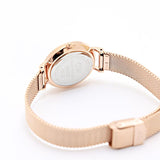 Buy Shop Daniel Wellington Petite Amber Brown Dial Gold Mesh Strap Watch For Women - DW00100476 USA Online