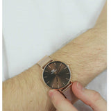 Buy Shop Daniel Wellington Petite Amber Brown Dial Rose Gold Mesh Strap Watch for Women - DW00100478 USA Online