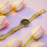 Buy Shop Daniel Wellington Petite Emerald Green Dial Gold Mesh Strap Watch For Women - DW00100480 USA Online