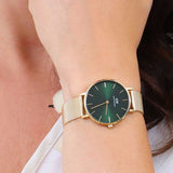 Buy Shop Daniel Wellington Petite Emerald Green Dial Gold Mesh Strap Watch For Women - DW00100480 USA Online