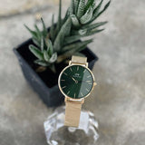 Buy Shop Daniel Wellington Petite Emerald Green Dial Gold Mesh Strap Watch For Women - DW00100480 USA Online