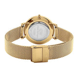 Buy Shop Daniel Wellington Petite Emerald Green Dial Gold Mesh Strap Watch For Women - DW00100480 USA Online