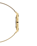 Buy Shop Daniel Wellington Petite Evergold Black Dial Gold Mesh Strap Watch For Women - DW00100345 USA Online