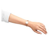 Buy Shop Daniel Wellington Petite Pressed Melrose White Dial Gold Mesh Bracelet Watch For Women - DW00100447 USA Online