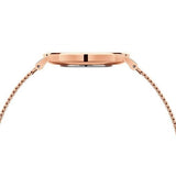 Buy Shop Daniel Wellington Petite Rose Gold Dial Rose Gold Mesh Bracelet Watch For Women - DW00100470 USA Online