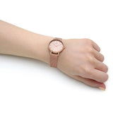 Buy Shop Daniel Wellington Petite Rose Gold Dial Rose Gold Mesh Bracelet Watch For Women - DW00100471 USA Online