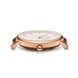 Buy Shop Daniel Wellington Petite Dover Quartz White Dial White NATO Strap Watch For Women - DW001000313 USA Online