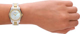 Buy Shop Emporio Armani Federica Mother of Pearl Dial Two Tone Steel Strap Watch for Women - AR11559 USA Online