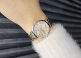 Buy Shop Emporio Armani Gianni T-Bar Beige Dial Two Tone Steel Strap Watch for Women - AR11702 USA Online