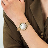Buy Shop Emporio Armani Kappa Quartz Mother of Pearl Taupe Dial Brown Leather Strap Watch For Men - AR11151 USA Online