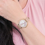 Buy Shop Emporio Armani Kappa Quartz Mother of Pearl Taupe Dial Brown Leather Strap Watch For Men - AR11151 USA Online