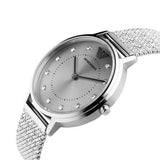 Buy Shop Emporio Armani Kappa Silver Dial Silver Mesh Bracelet Watch For Women - AR11128 USA Online
